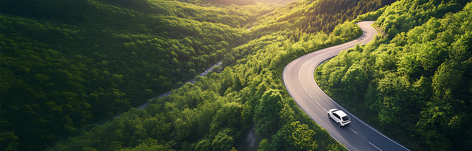samochód jadący po drodze. W tle zielony las
